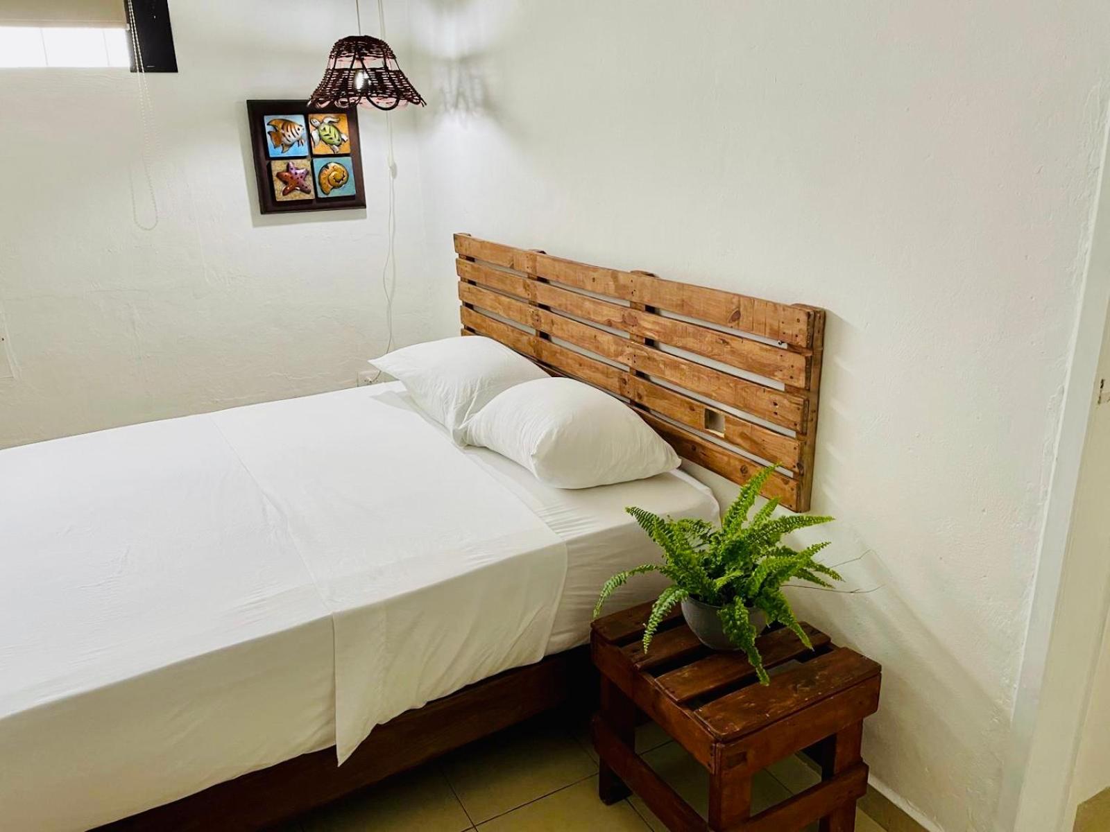 Caribo Cozumel Hotel Bagian luar foto